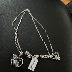 Brighton cute monkey.